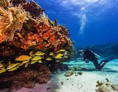 immagine della proprietà