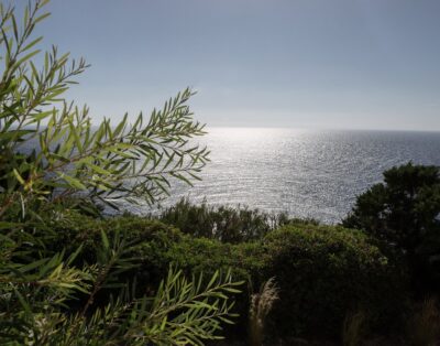 immagine della proprietà