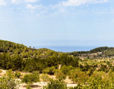 immagine della proprietà