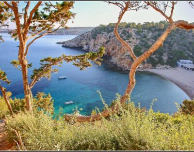 immagine della proprietà