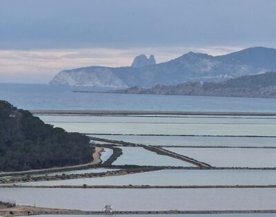 immagine della proprietà